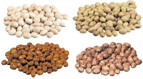 Fagioli di Sarconi