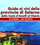 Guida ai vini della provincia di Salerno Guida ai vini della provincia di Salerno