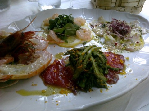 Crudo
