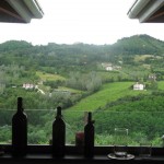 Donna Chiara, veduta dell'azienda
