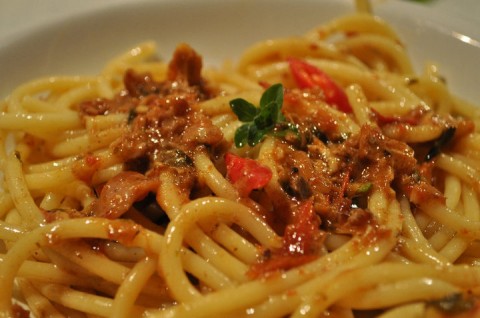 bucatini al sugo di coniglio