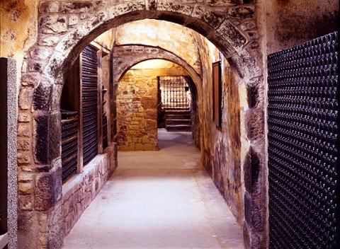 Le cantine
