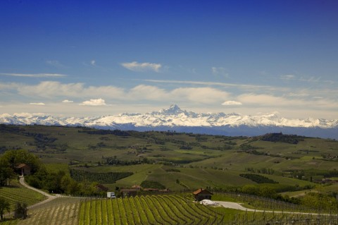langhe