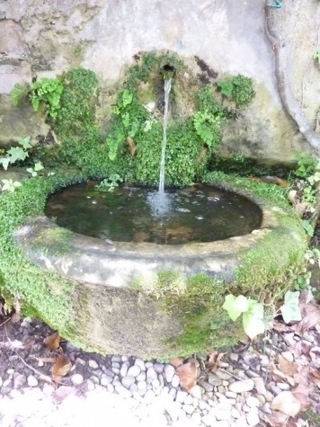 la fontanella in un piccolo giardino appartato fotomonicapiscitelli