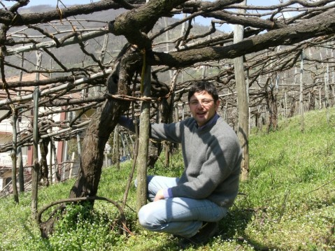 Prisco Apicella tra le viti