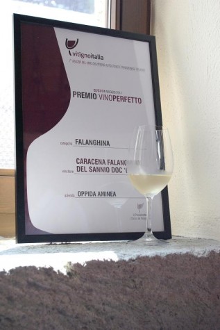Carcacena - Premio Vino Perfetto