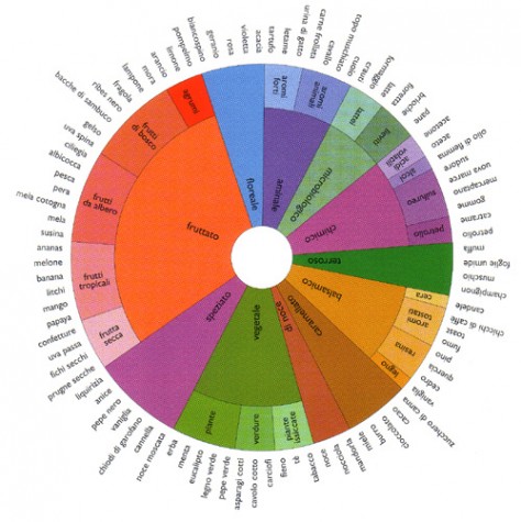 I Profumi del vino, ruota degli odori