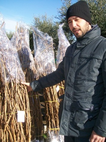 Gerardo Vernazzaro