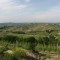 VIGNETI BARBARESCO I vigneti Barbaresco