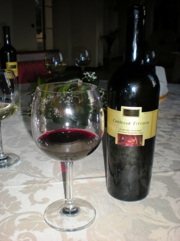 Contessa Ferrara 2008