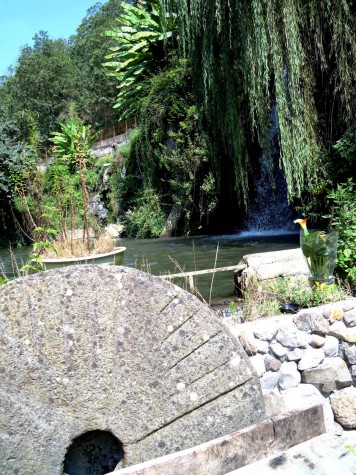 La cascata esterna del Ristorante 'Al Vecchio Mulino'