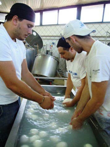 Antonio Jemma al lavoro nel laboratorio per la trasformazione con i collaboratori