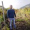 Antonio Papa nella Vigna Storica dell'Azienda Agricola