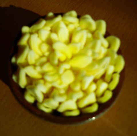 Crisantemo Biciè