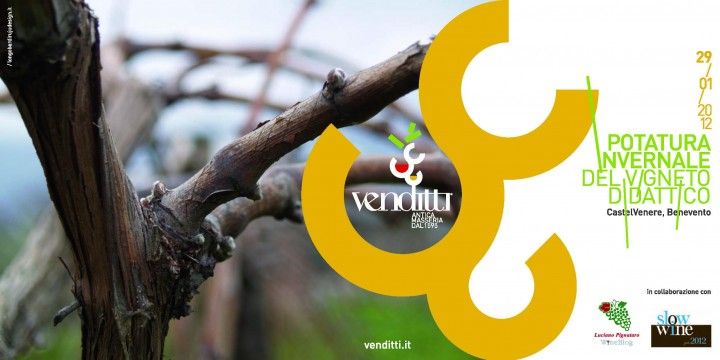 venditti