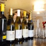 I vini I vini