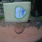 Il formaggio Senza Il formaggio Senza