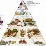 La piramide di Harward