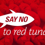 No red tuna