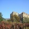 vigneto al Castello di Monteleone vigneto al Castello di Monteleone