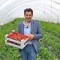 Michele Montella e le sue fragole biob