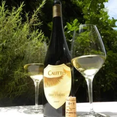 Calitto 2008 Biancolella Ischia doc