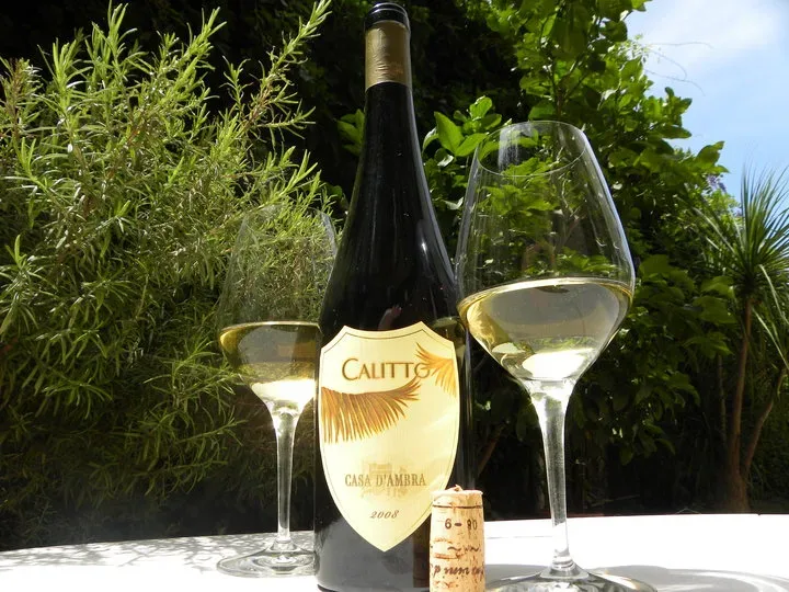 Calitto 2008 Biancolella Ischia doc