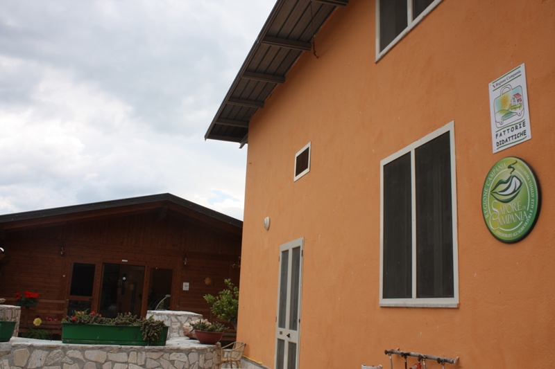 Azienda Agrigola Di Palma