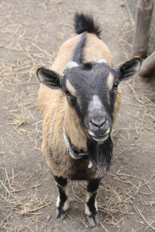 Azienda Agrigola Di Palma