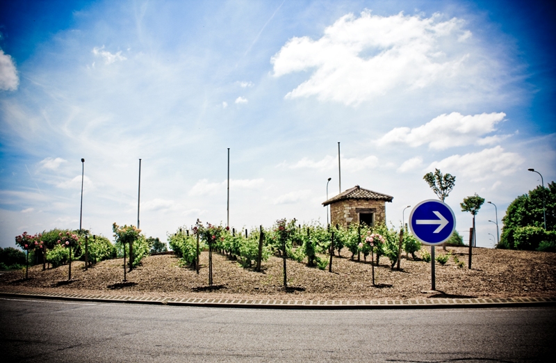 Rotonda in Borgogna