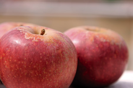 mela annurca, la regina delle mele