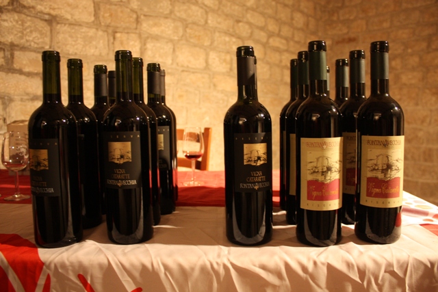 Verticale di 'Vigna Cataratte' - Fontanavecchia