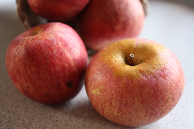 mela annurca, la regina delle mele