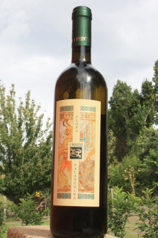 Beneventano Falanghina Flora