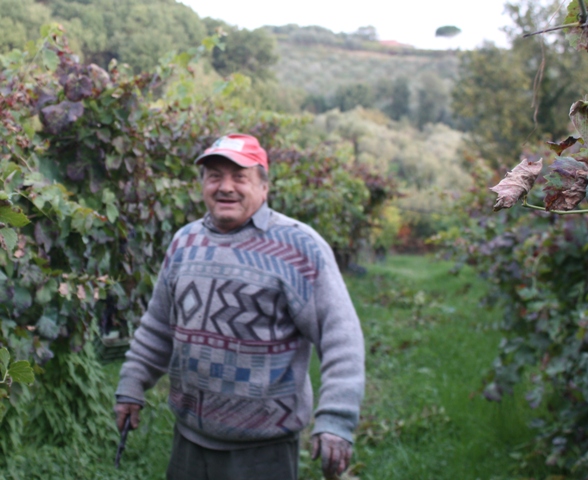 Il papà Giovanni, ancora innamorato della vigna