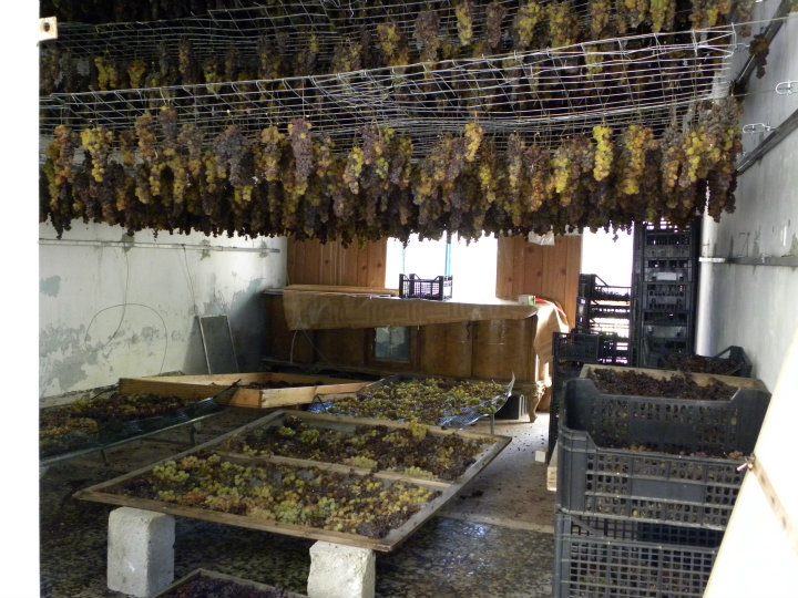 Il moscato ancora in appassimento