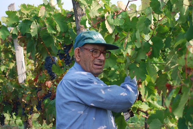 Carmine Antonio Pacelli