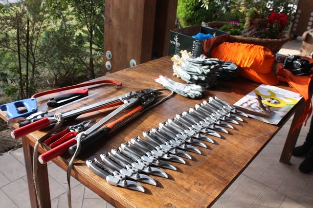 Gli attrezzi per la potatura