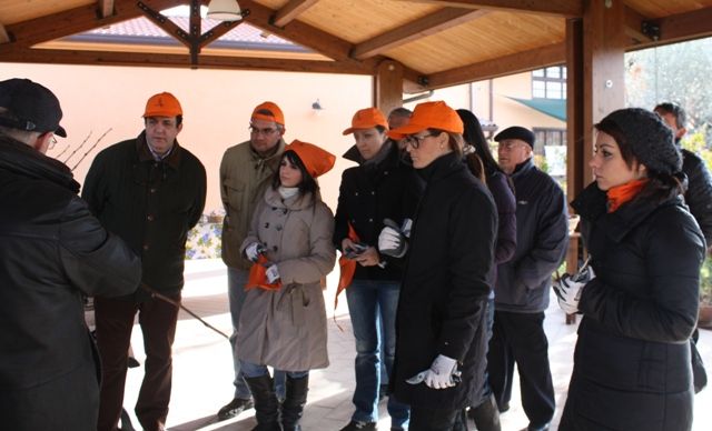 Il gruppo dei potatori