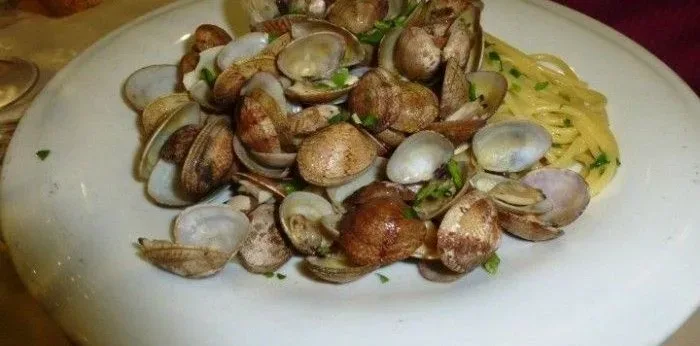 spaghetti alle vongole in bianco