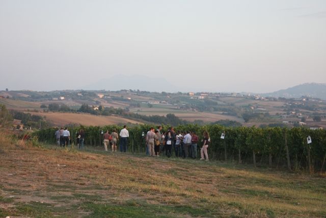 Il gioco tra i vigneti