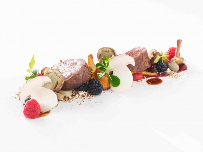 cervo bosco e sotto bosco