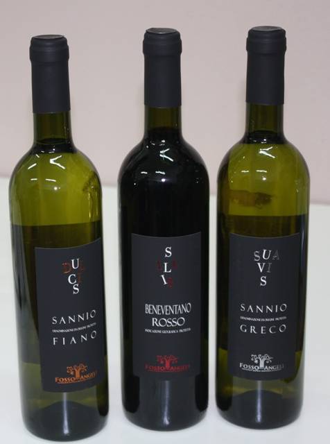 Fosso degli Angeli - La gamma 2011