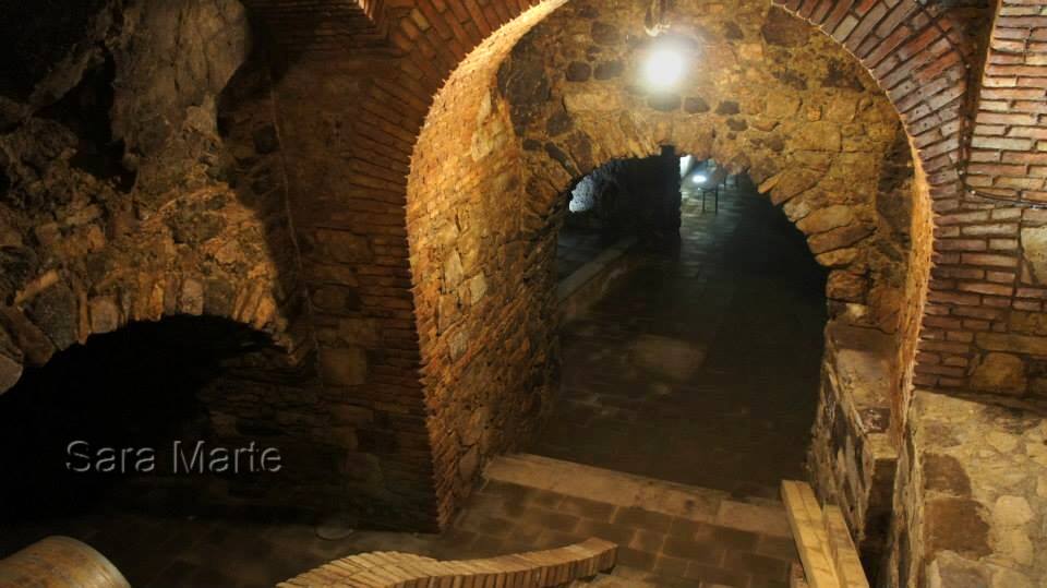 Si accede alla bottaia scavata oltre 15 metri sotto il livello della strada (foto di Sara Marte)