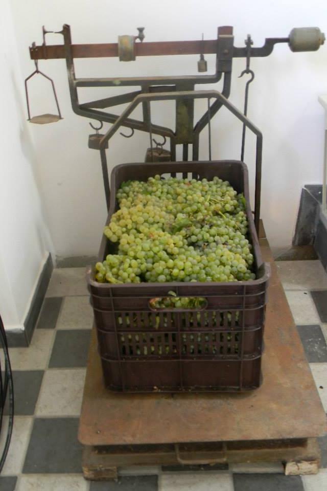 Eleonora Morone - Al passo con i tempi