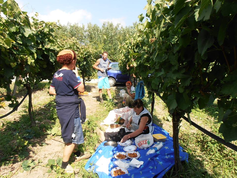 Giuseppe Ciarleglio - Castrato di montagna con patate