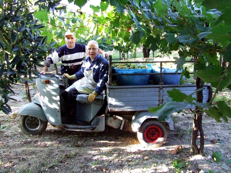 Niko Conte - Mezzi di trasporto locali
