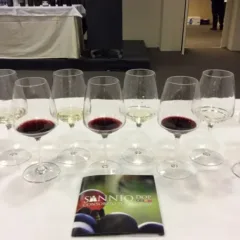 Gli otto vini in degustazione