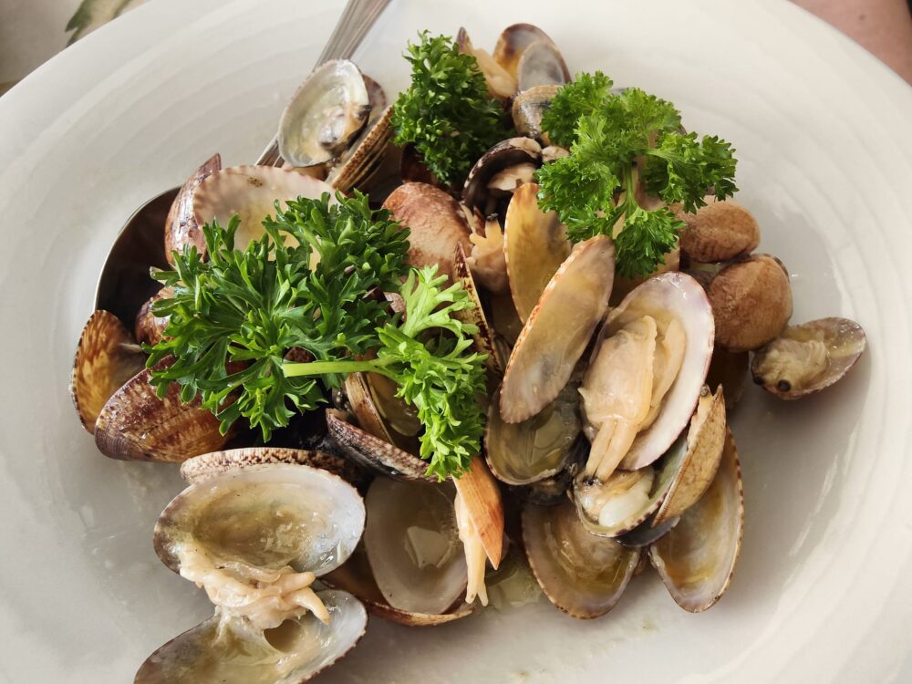 sauté di vongole
