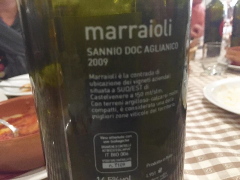 Marraioli 2009